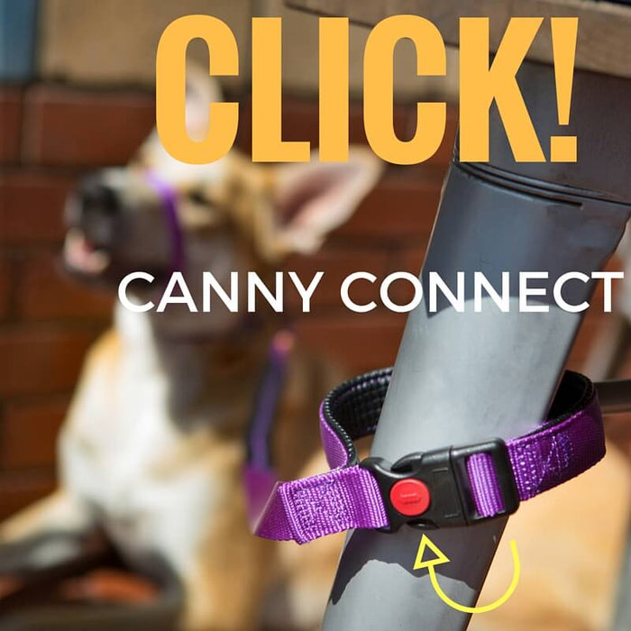 Canny Hundeleine CONNECT 15mm
