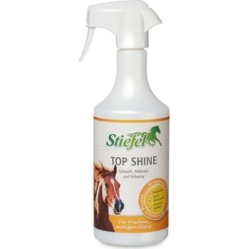 Stiefel Top Shine.