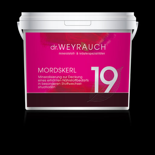 Dr. Weyrauch Nr 19 Mordskerl.