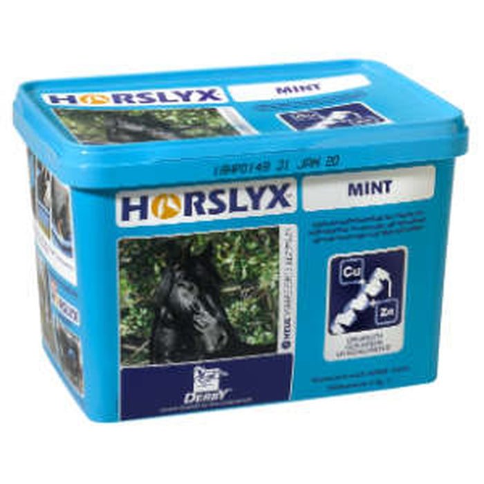 Derby Horslyx Mint.