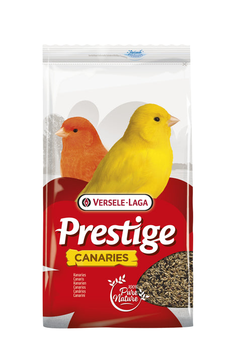 Prestige Kanarien
