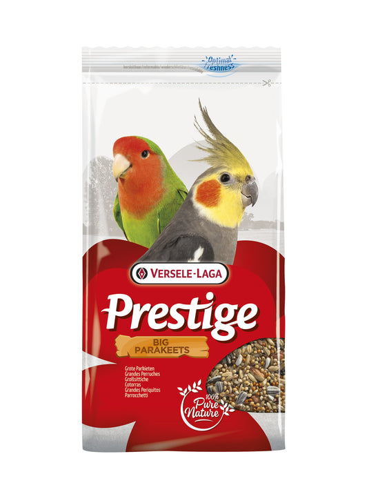 Prestige Großsittiche