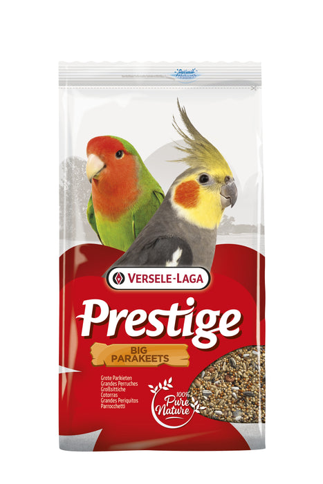Prestige Großsittiche