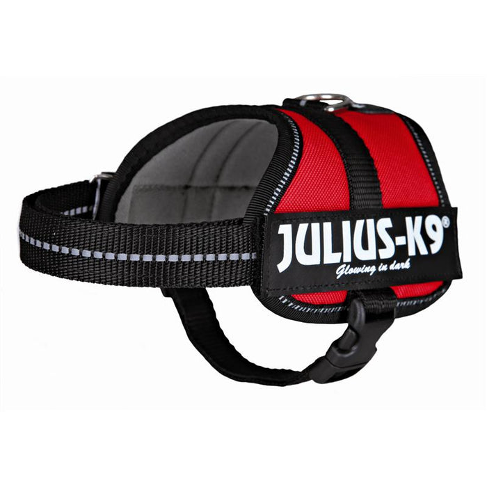 Julius-K9 Powergeschirr, Baby, rot