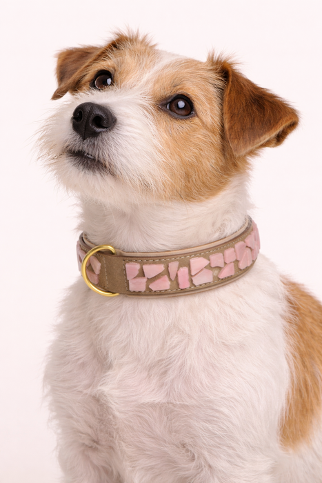 Set PURE No.05 (Halsband & Leine)