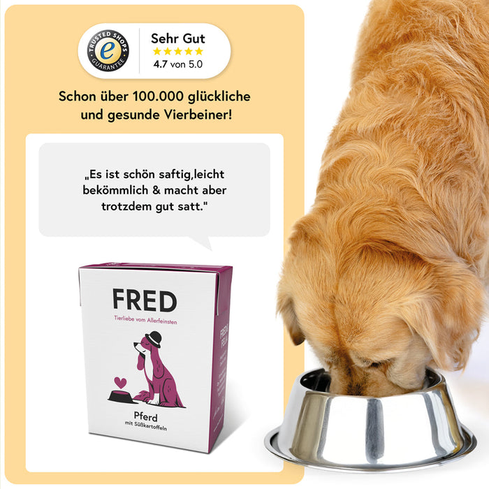 Pferd mit Süßkartoffeln