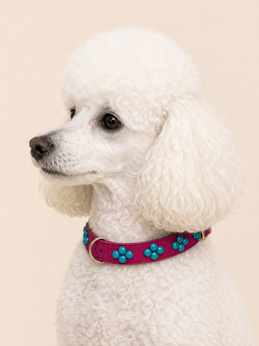 SOFT no.03 - Hundehalsband mit blauen Schmucksteinen