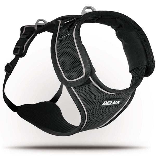 Curli Belka Geschirr  L