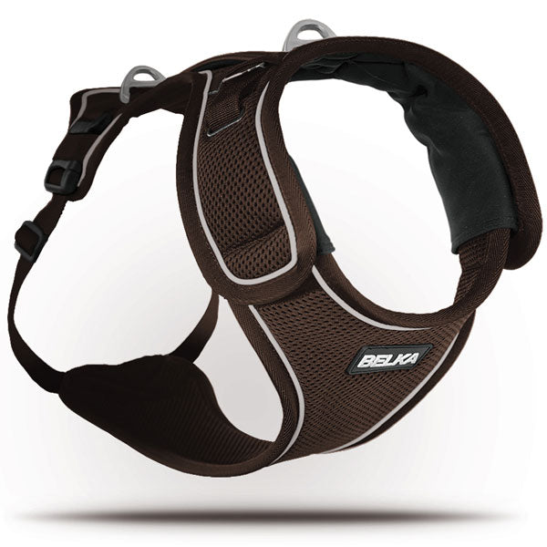 Curli Belka Geschirr  XL