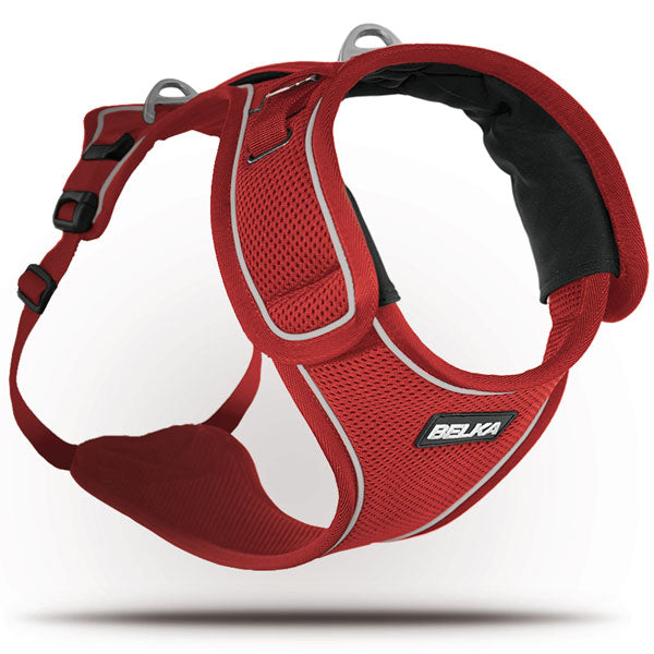 Curli Belka Geschirr  XL