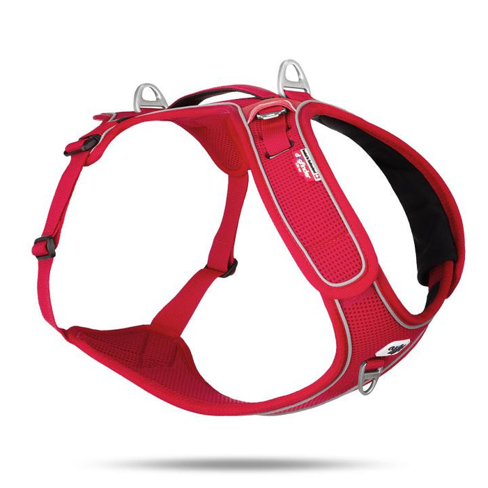 Curli Belka Geschirr Adjustable Neck Red