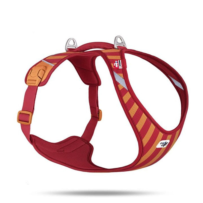 Curli All New Belka LE26 Stripes Rot