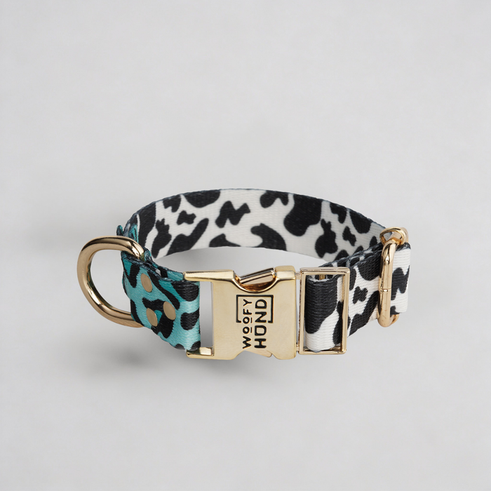 Halsband Aqua Camo