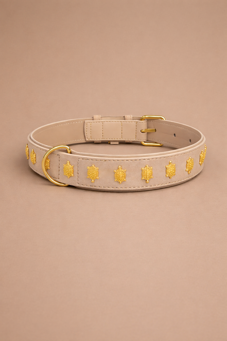 URBAN no.01 - Hundehalsband mit Schildkröten