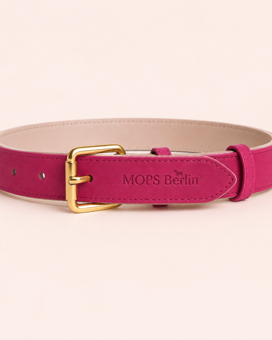 Set SOFT no.03 (Halsband & Leine)
