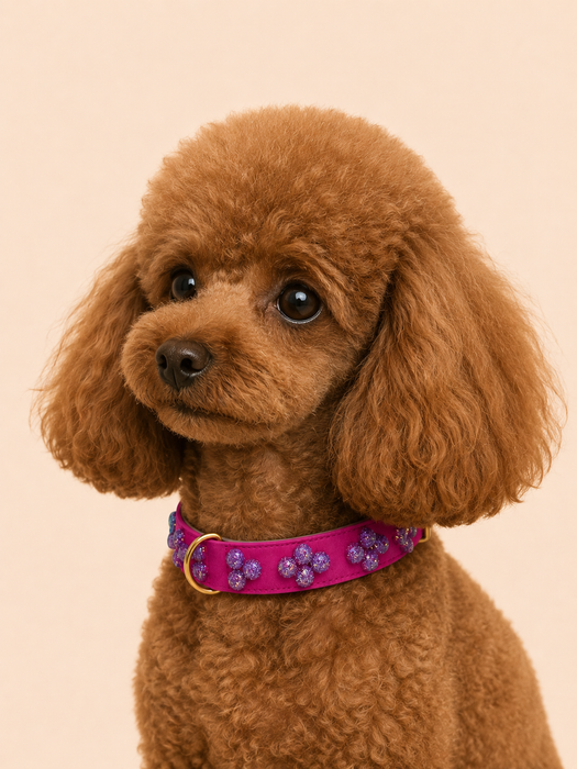 SIGNATURE no.03 - Hundehalsband mit Glanz