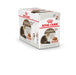 Royal Canin Feline Ageing 12+ in Soße P.B. Multipack.