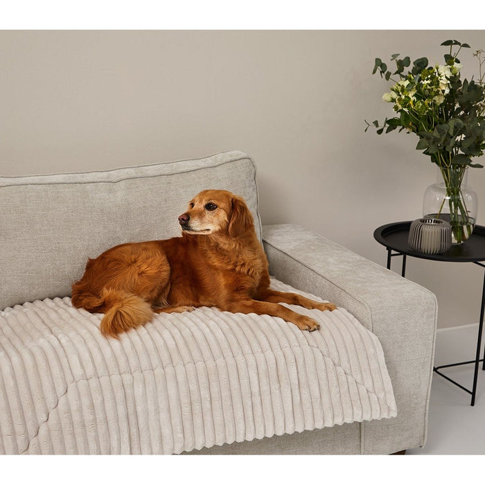 Einlage MJUCK Breitcord