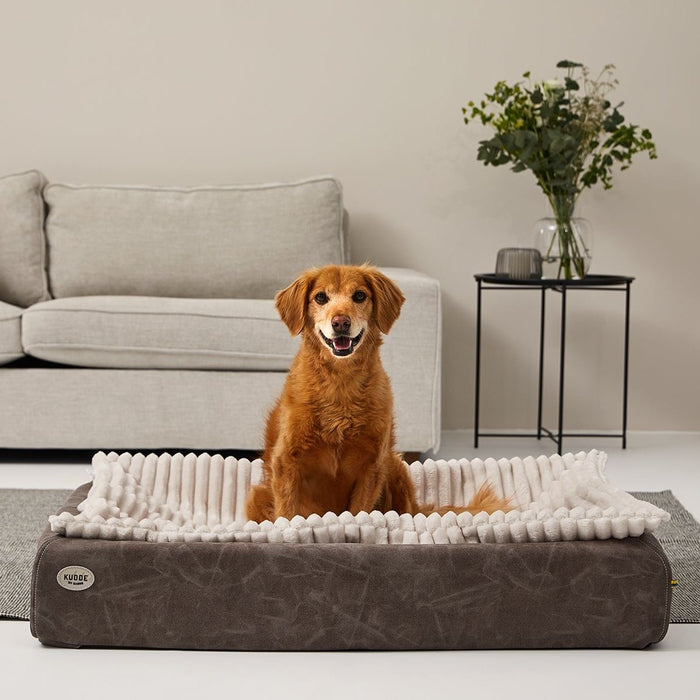 Einlage MJUCK Breitcord