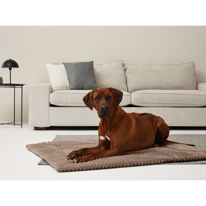 Einlage MJUCK Breitcord