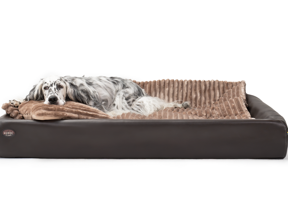 All-In Relax Bundle | KUDDE Hundebett + Einlage & Kissen