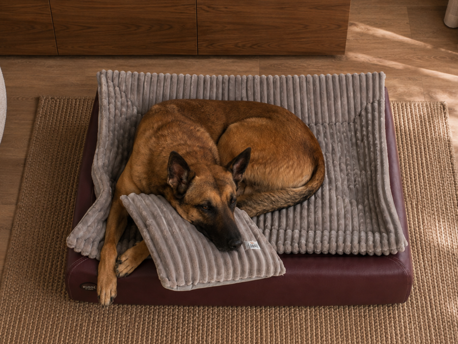 All-In Relax Bundle | KUDDE Hundebett + Einlage & Kissen