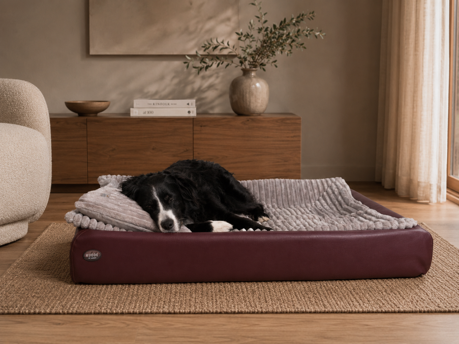 All-In Relax Bundle | KUDDE Hundebett + Einlage & Kissen