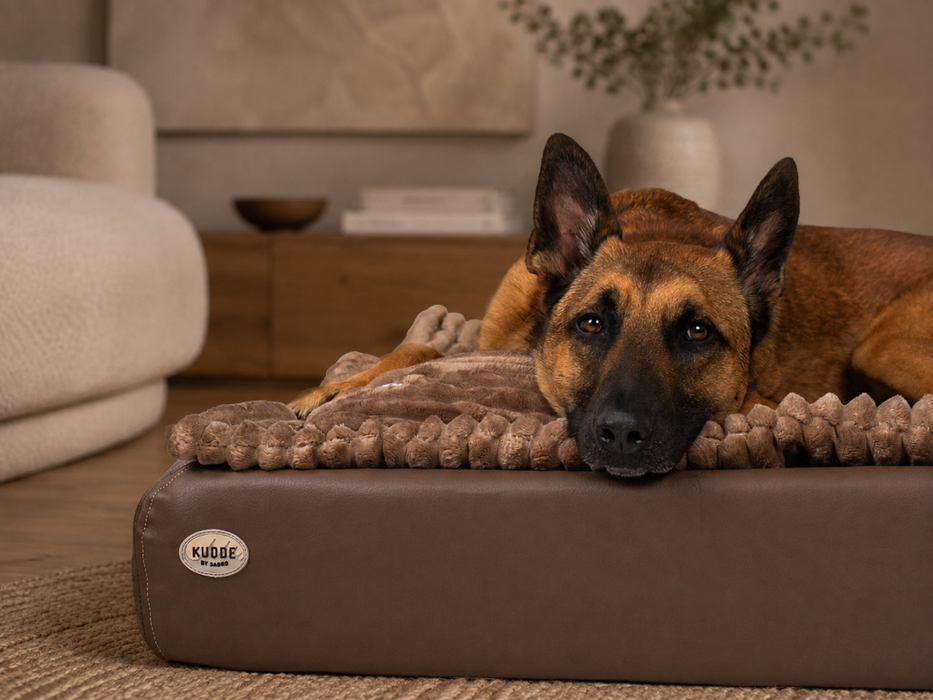 All-In Relax Bundle | KUDDE Hundebett + Einlage & Kissen