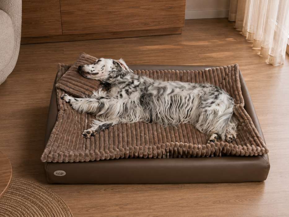 All-In Relax Bundle | KUDDE Hundebett + Einlage & Kissen