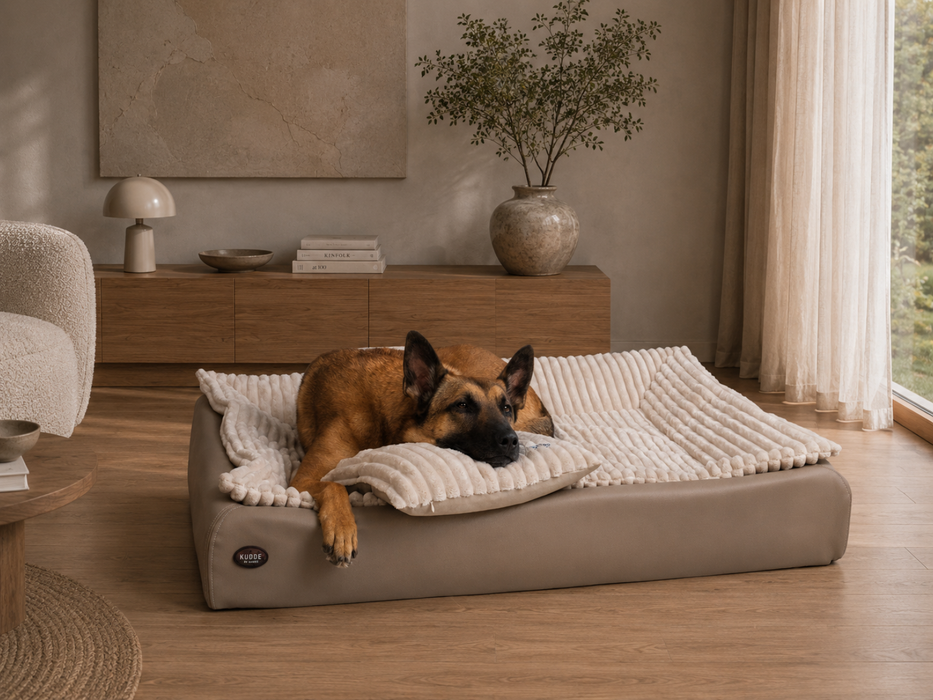 All-In Relax Bundle | KUDDE Hundebett + Einlage & Kissen