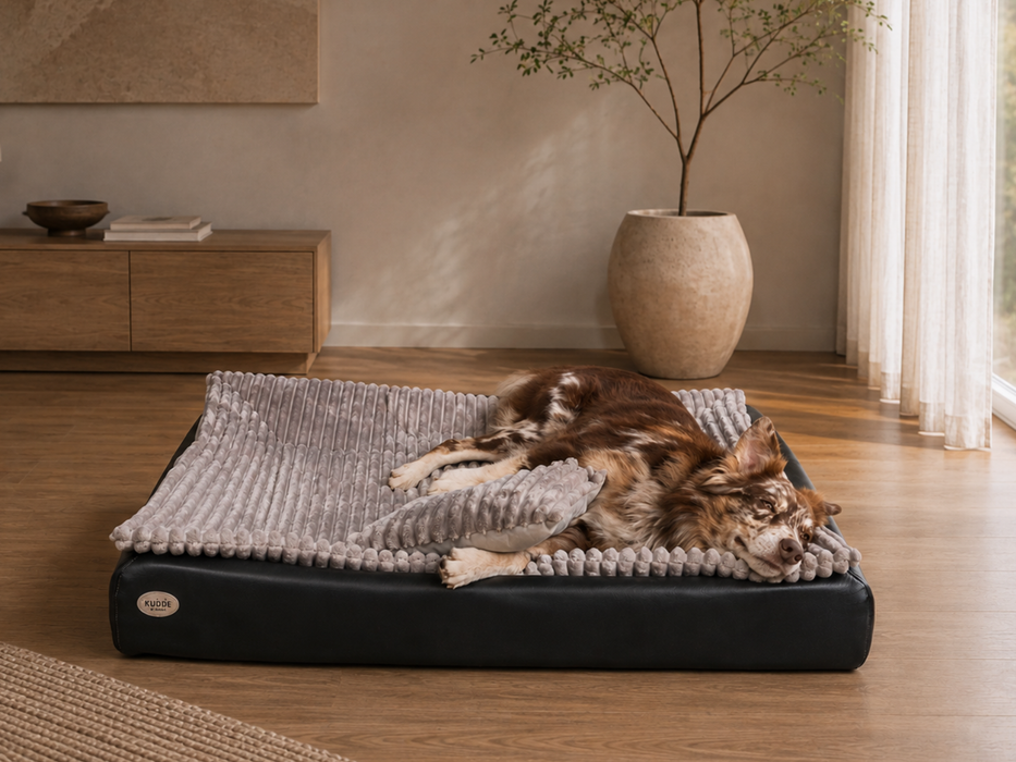 All-In Relax Bundle | KUDDE Hundebett + Einlage & Kissen