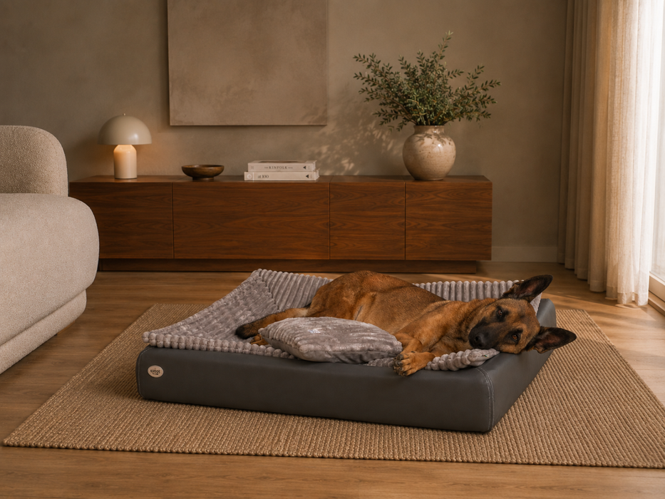 All-In Relax Bundle | KUDDE Hundebett + Einlage & Kissen