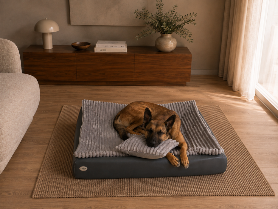 All-In Relax Bundle | KUDDE Hundebett + Einlage & Kissen
