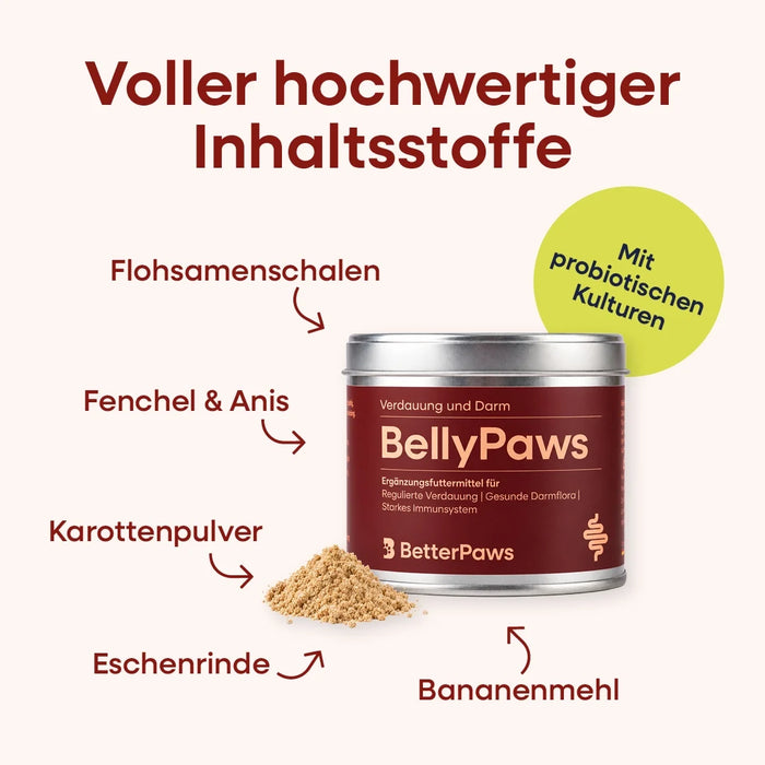 BellyPaws