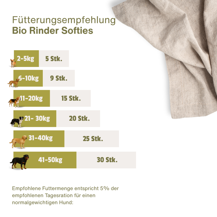 BIO Rinder Snack Soft
