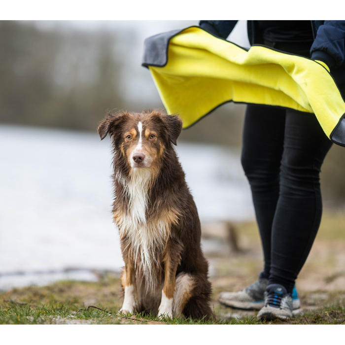 Handtuch BUDDY für Hunde