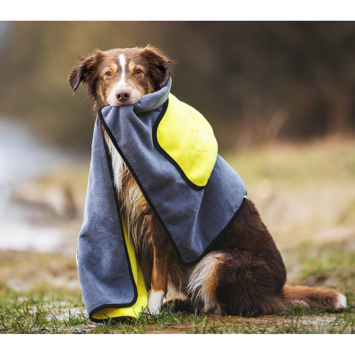 Handtuch BUDDY für Hunde