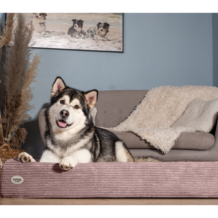 Bezug für KUDDE Cord