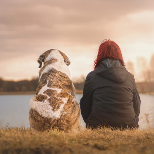 Warum wir die DNA-Rassebestimmung so lieben – und dein Hund davonprofitiert