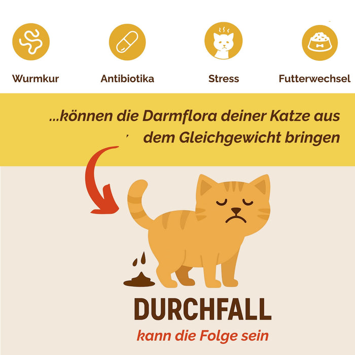 Darmpulver Katze - Durchfall und  Erbrechen Katze -Darmflora Katze aufbauen
