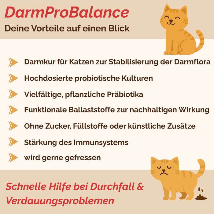 Darmpulver Katze - Durchfall und  Erbrechen Katze -Darmflora Katze aufbauen