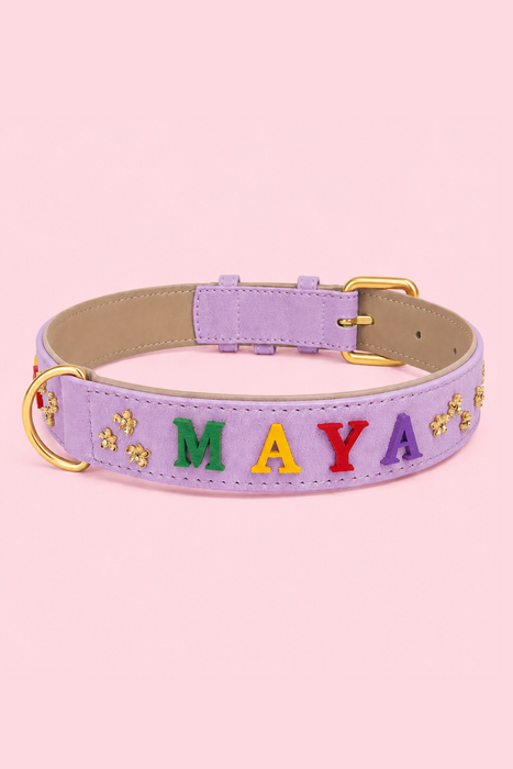 Set IDENTITY (Halsband & Leine)