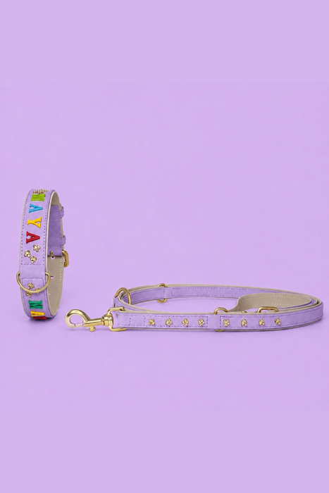 Set IDENTITY (Halsband & Leine)