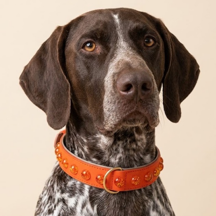 SOFT no.02 - Hundehalsband mit Bernsteinharz