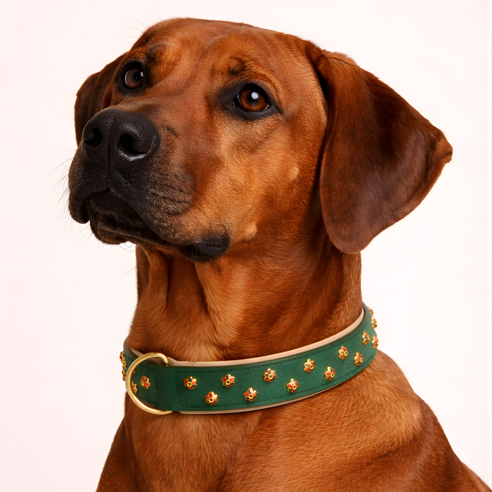 URBAN no.04 - Hundehalsband mit Blüten