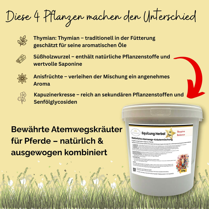 EquiLung Herbal RespiraBalance – Kräutermischung für Pferde in Phasen erhöhter Schleimbildung oder bei beanspruchten Atemwegen