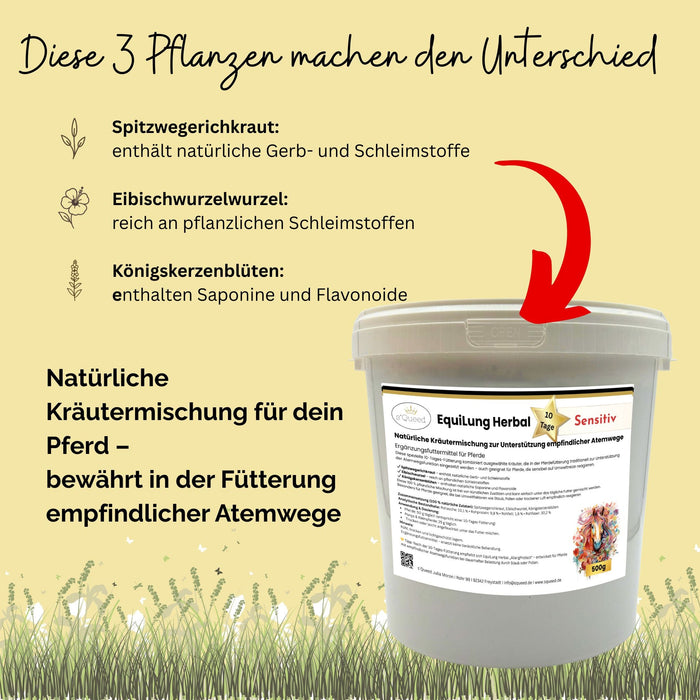 EquiLung Herbal Sensitiv – Hustenkräuter für Pferde zur Unterstützung empfindlicher Atemwege (10 Tage Fütterung)