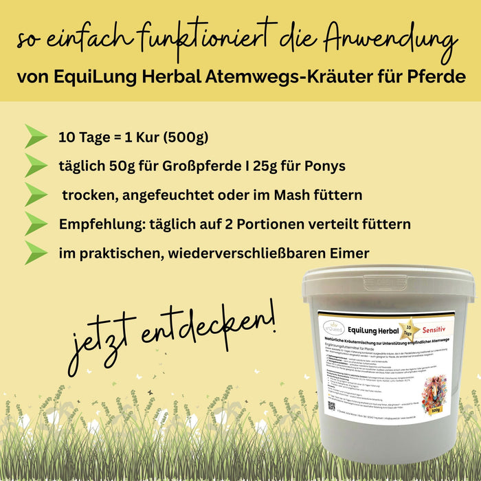 EquiLung Herbal Sensitiv – Hustenkräuter für Pferde zur Unterstützung empfindlicher Atemwege (10 Tage Fütterung)