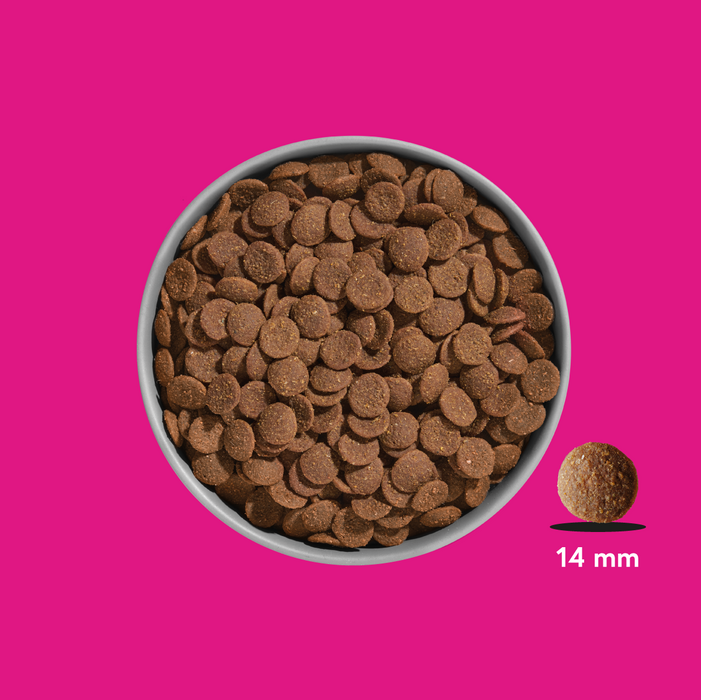 Premium Trockenfutter Schwein (Probe)