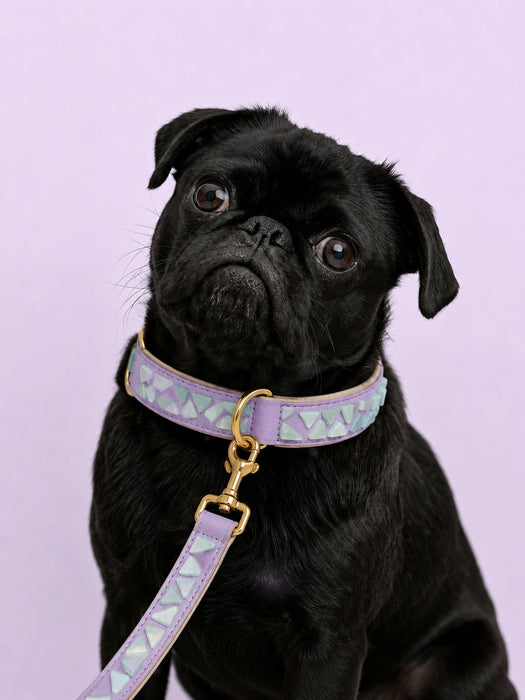 Set PURE No.03 (Halsband & Leine)